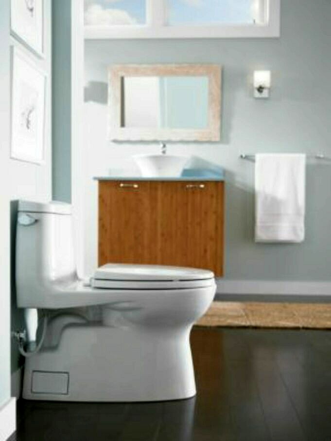 TOTO Carlyle II Toilet Review - Pro, Contro E Verdetto